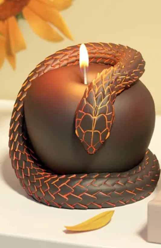 Snake around an apple